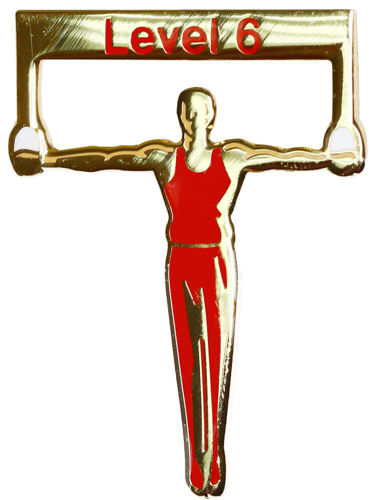 Men's Gymnastics Pin - Level 6 Rings